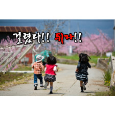 테스트이만칠천