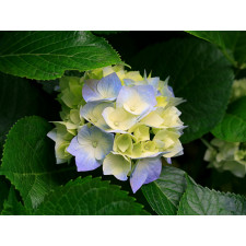 테스트삼만칠천팔백